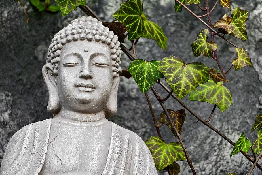 buddha, sculpture, statue, stone, decoration, figure, ivy, ceramic HD wallpaper
