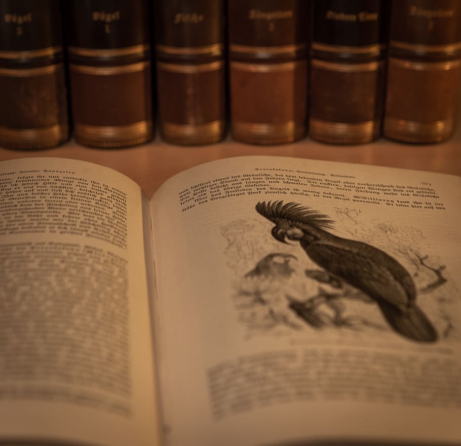 book, antique, book stack, literature, knowledge, old, historically HD wallpaper