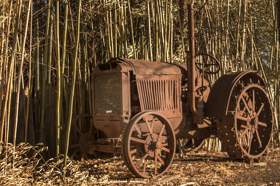 rombach, rust, bamboo, farm, rustic, old, tractor, land, transportation HD wallpaper