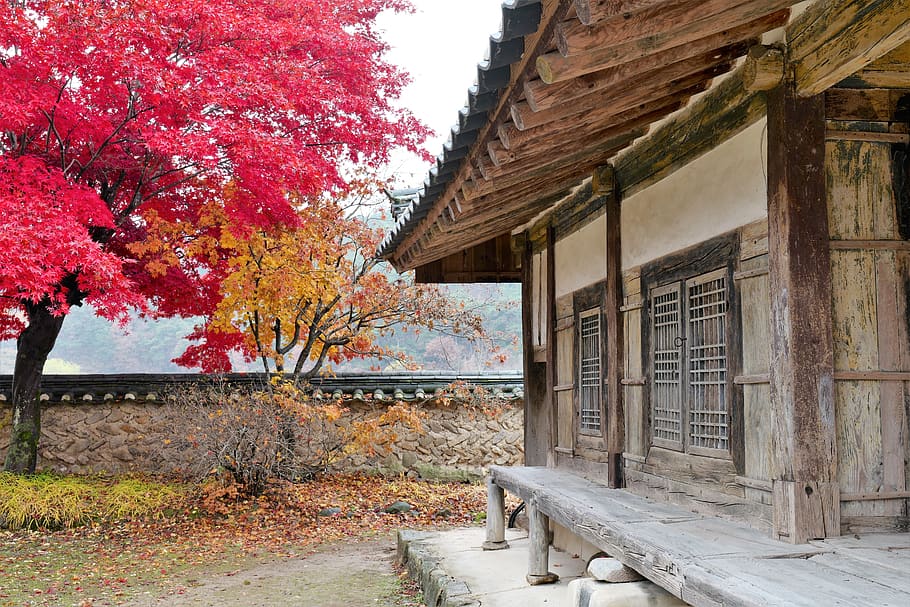 Hơn 500 Wallpaper korean wood Tải miễn phí, đa dạng chủ đề