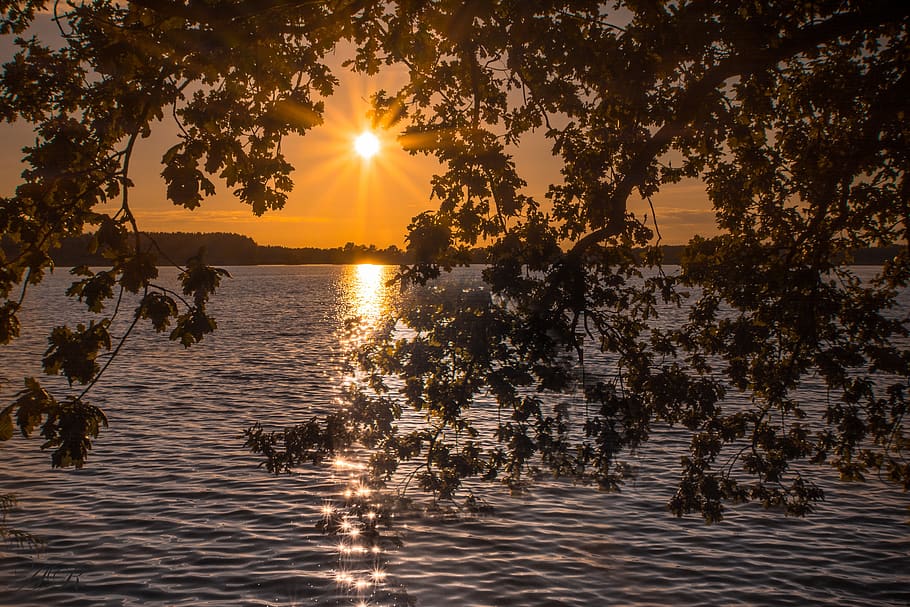 nature, tree, reflection, lake, season, waters, dawn, sunset HD wallpaper