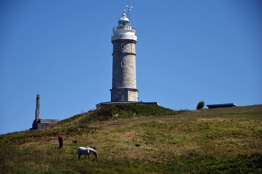 landscape, lighthouse, horses, spain, asturias, costa, animals HD wallpaper