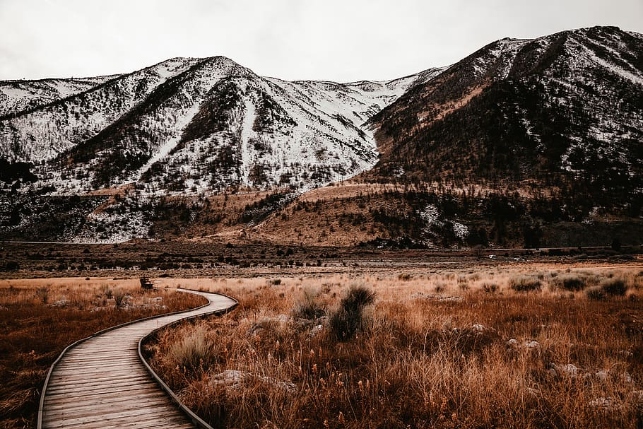 Landscape, building, boardwalk, bridge, nature, outdoors, road HD wallpaper