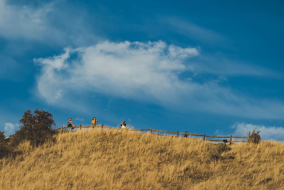 Four People Standing on Top of the Hill With Fence, clouds, cropland HD wallpaper