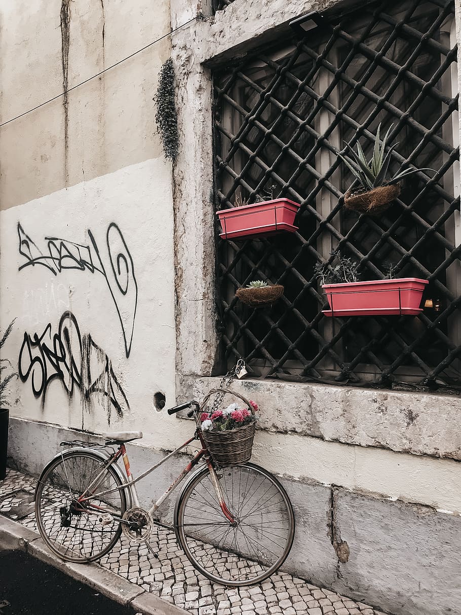 Grey Bicycle Parked Near Concrete Wall, architecture, building HD wallpaper