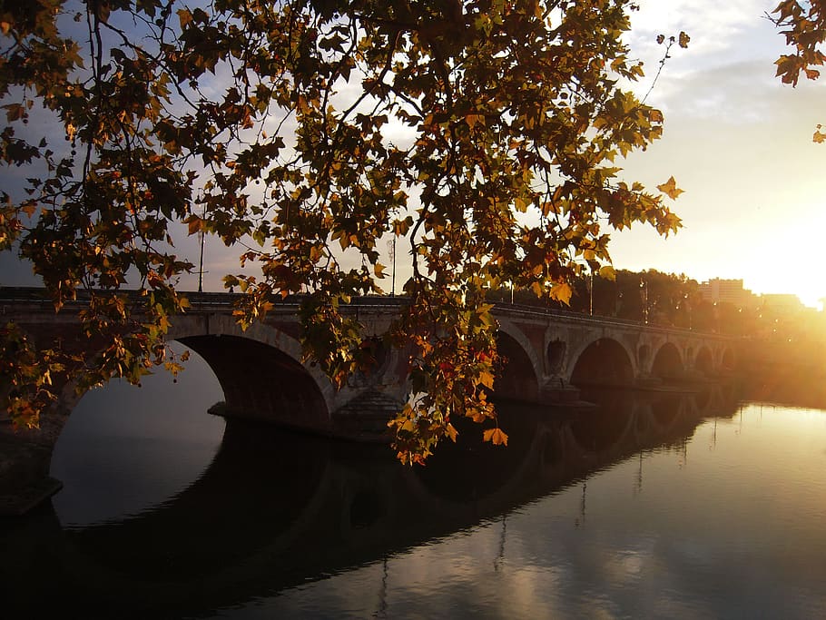 pont neuf, france, toulouse, foliage, sunset, automn, tree, HD wallpaper