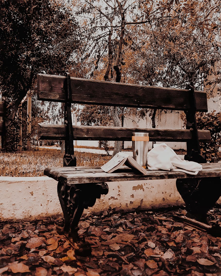 Opened Book, bench, tree, no people, nature, plant, seat, table HD wallpaper