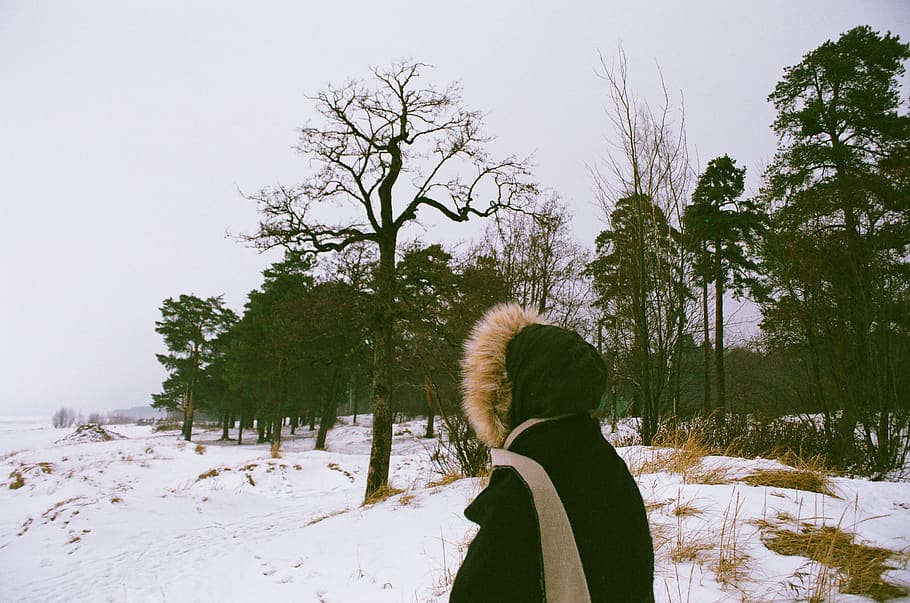 Person Facing Trees during Winter, cold, daylight, daytime, environment HD wallpaper