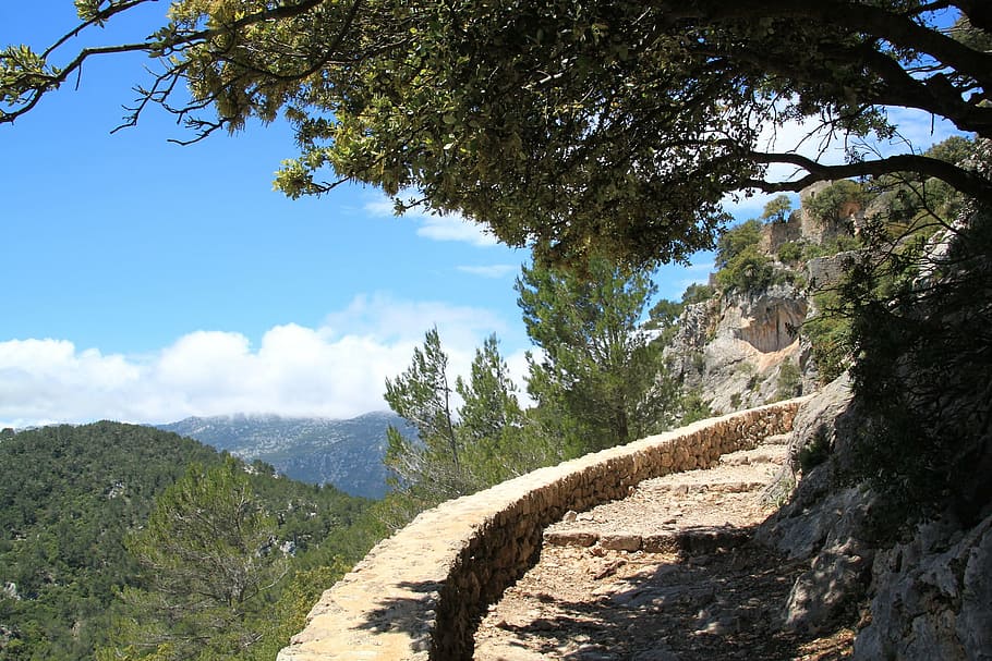 route, path, trail, pathway, nature, landscape, height, altitude HD wallpaper