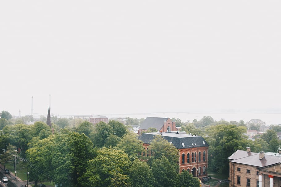 canada, charlottetown, tree, architecture, built structure HD wallpaper