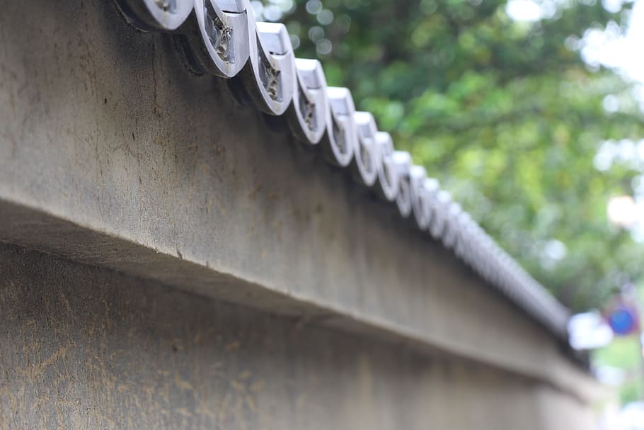 building, eaves, old building, trees, kyoto, temple, shrine HD wallpaper