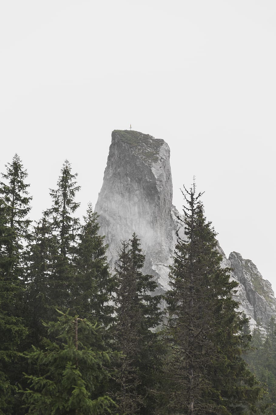 mountain near pine trees, plant, sky, nature, beauty in nature HD wallpaper