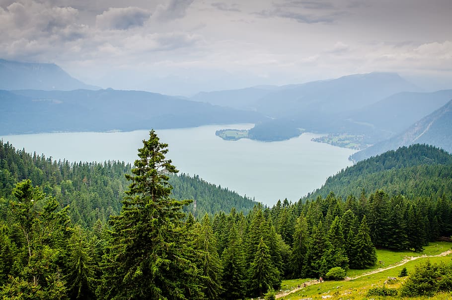 Forest and Body of Water Photograph, clouds, conifer, daylight HD wallpaper
