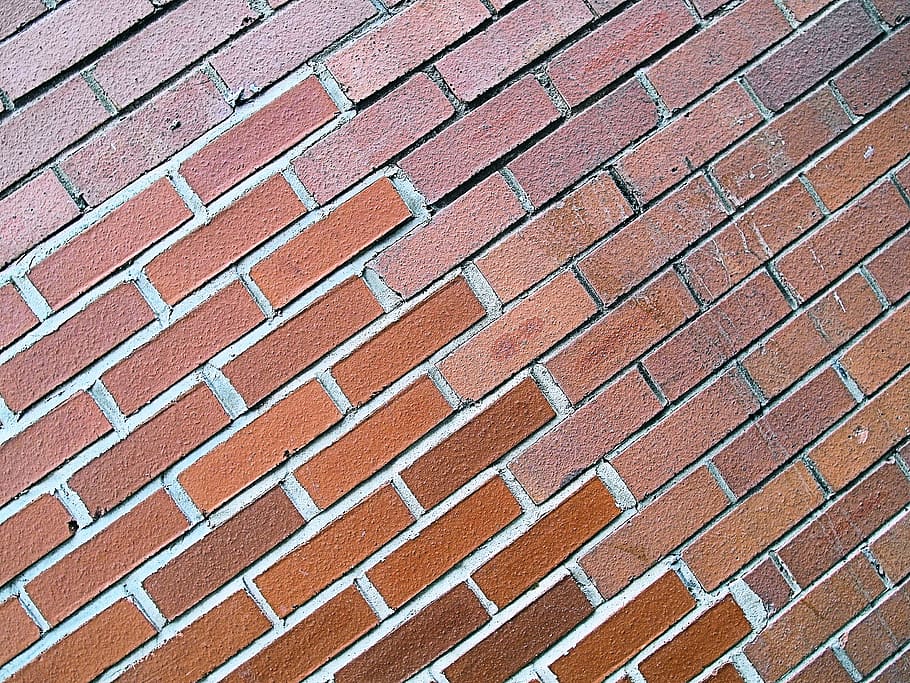 brick, rug, wall, roof, demolition, sitting, moss, plant, tile roof HD wallpaper
