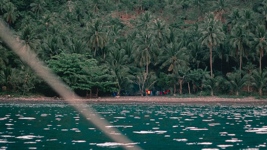 nature, dingalan, philippines, land, outdoors, tree, plant HD wallpaper