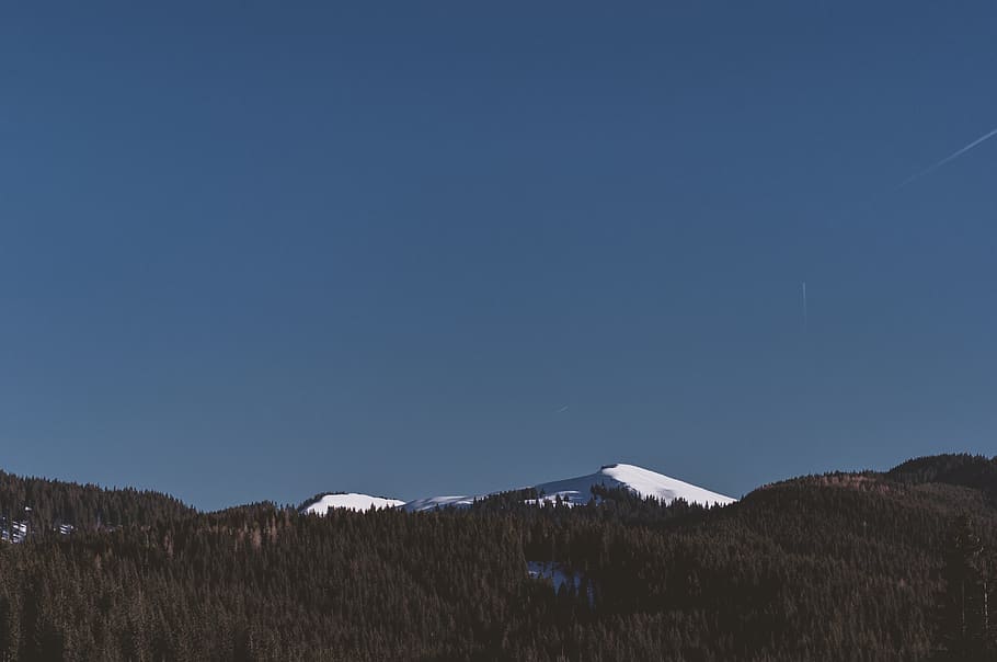 mountain covered with snow, nature, outdoors, tree, plant, fir HD wallpaper
