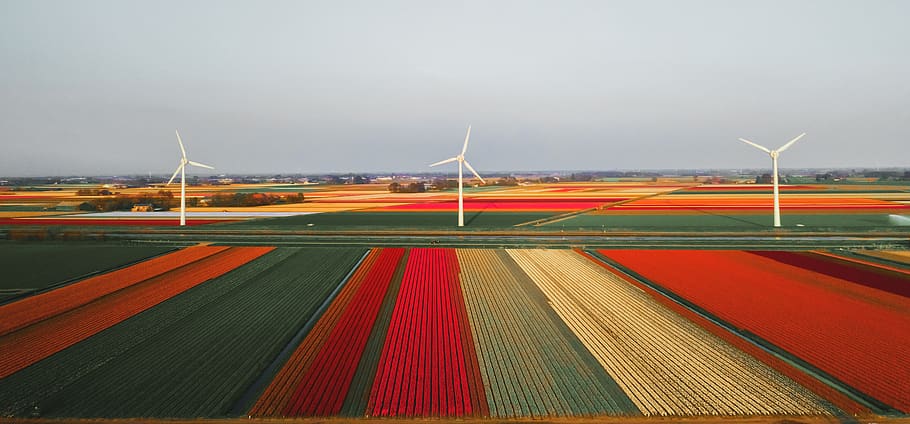 machine, engine, motor, netherlands, turbine, scheidingsvliet 4, HD wallpaper