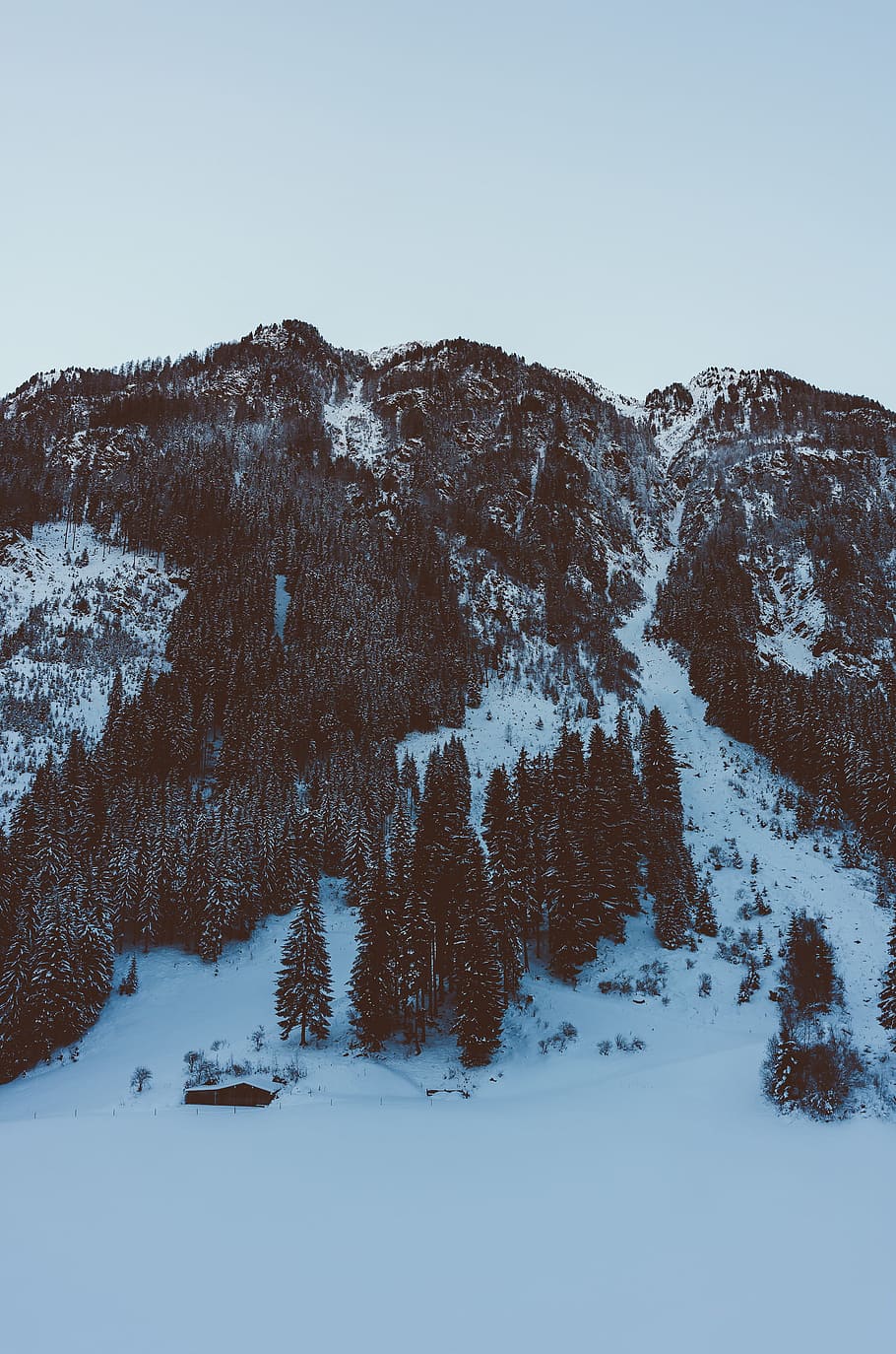 morning in the mountains, alpine, alps, altitude, austria, blue HD wallpaper