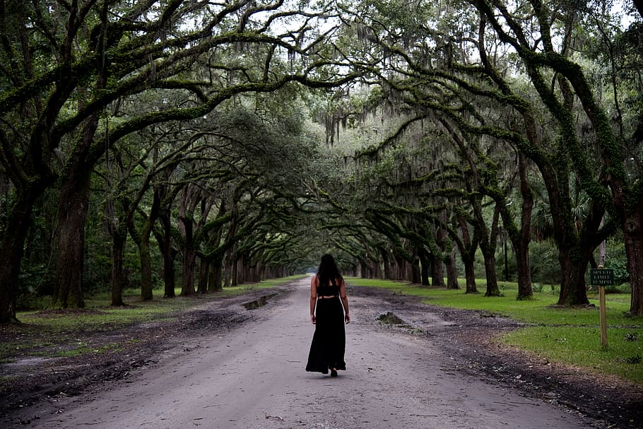 Woman Standing in the Middle of the Forest, back view, black dress HD wallpaper
