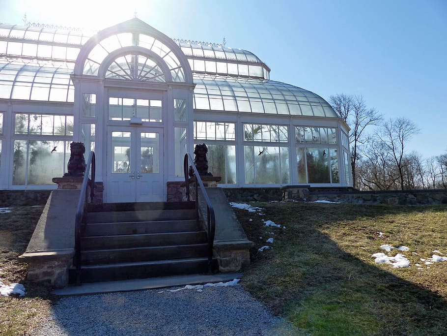 Sun shine from behind the orchid greenhouse in winter at Duke Farms New Jersey., HD wallpaper
