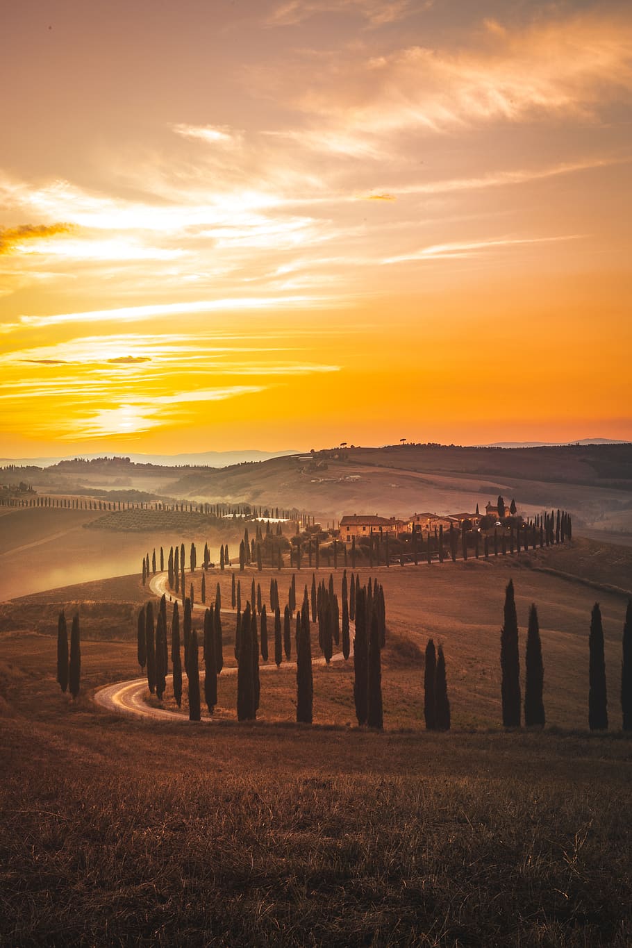 trees beside road during sunset, sky, tranquility, tranquil scene HD wallpaper