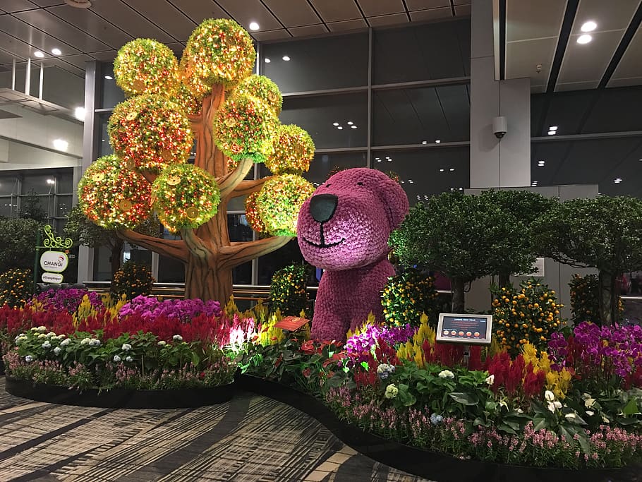 HD wallpaper singapore, tpe, changi airport, flower garden, purple dog