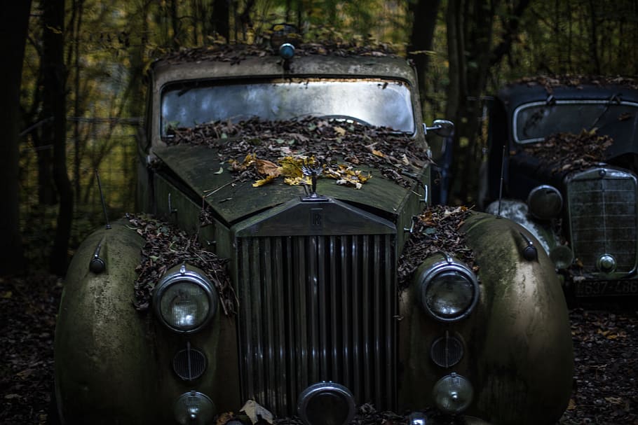 Green Classic Car in the Forest, abandoned, antique, broken, headlights HD wallpaper