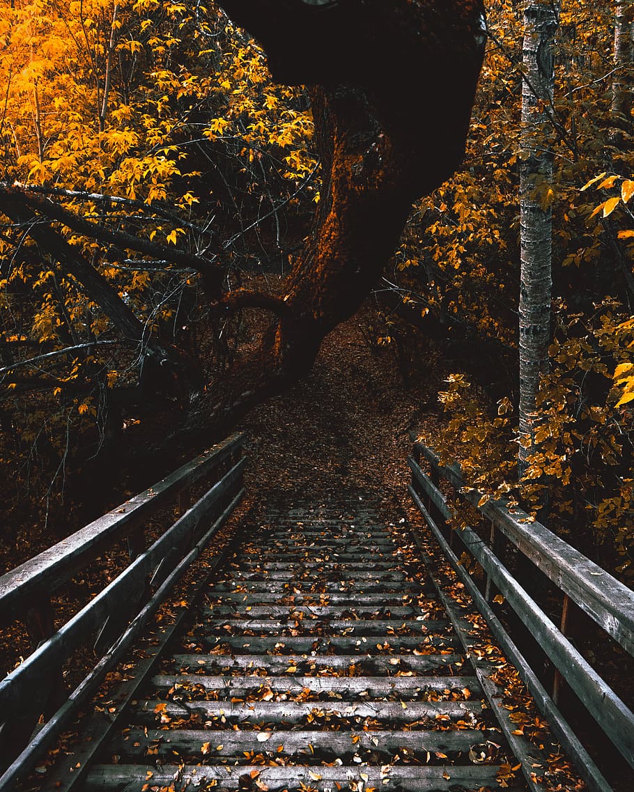 view of bridge, gravel, road, dirt road, railway, train track HD wallpaper