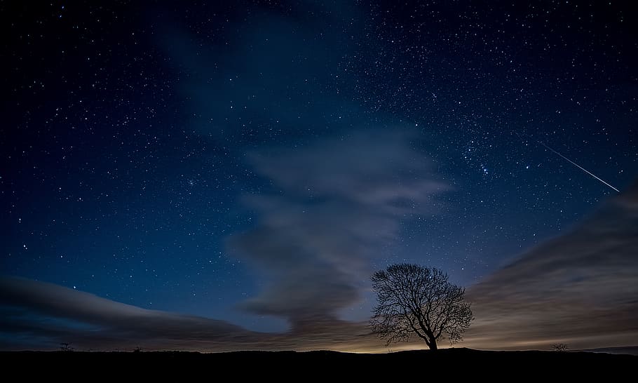 tree, plant, field, farm, cloud, sky, nature, outdoor, stars HD wallpaper