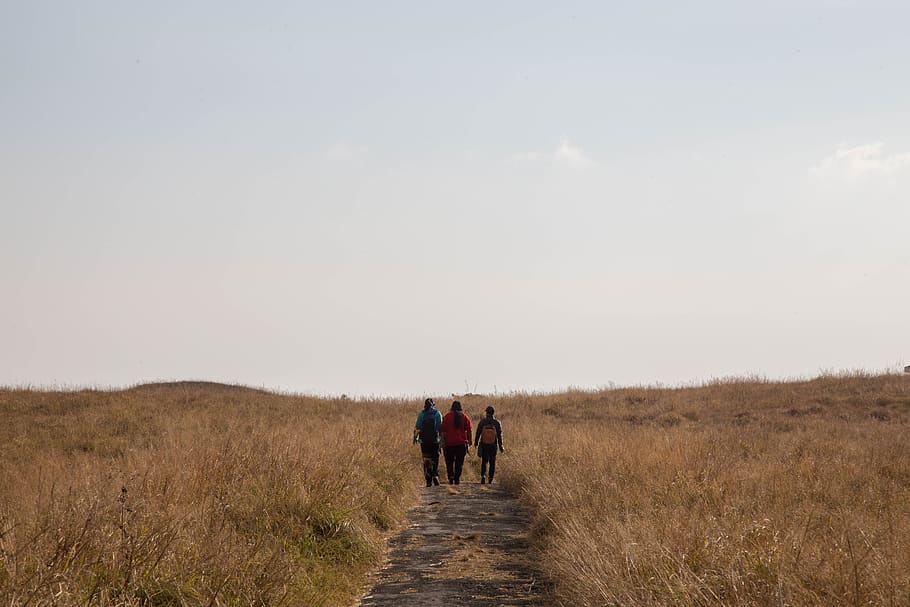 india, cherrapunjee, crops, landscape, rear view, walking, group of people HD wallpaper