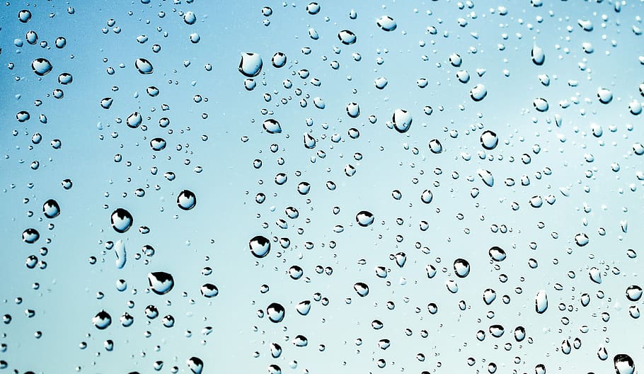 Droplets, close-up, dew, macro, raindrops, water, waterdrops HD wallpaper