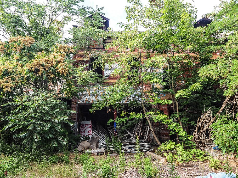 photography, trees, old, fallen, destroyed, trainstation, green HD wallpaper