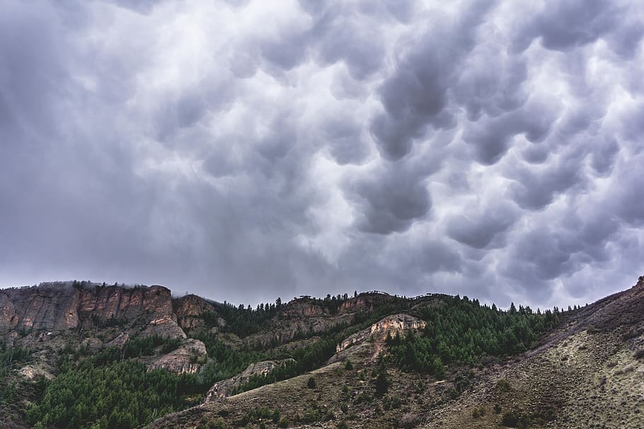 trees, forest, wallpaper, nature, clouds, storm, rain, mountains HD wallpaper