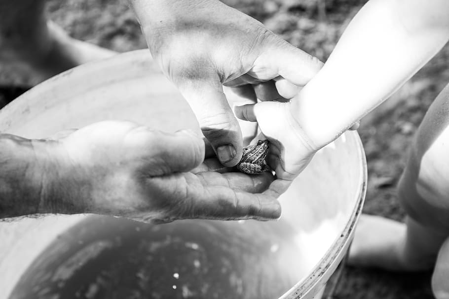 croatia, sarvaš, human hand, human body part, people, real people HD wallpaper