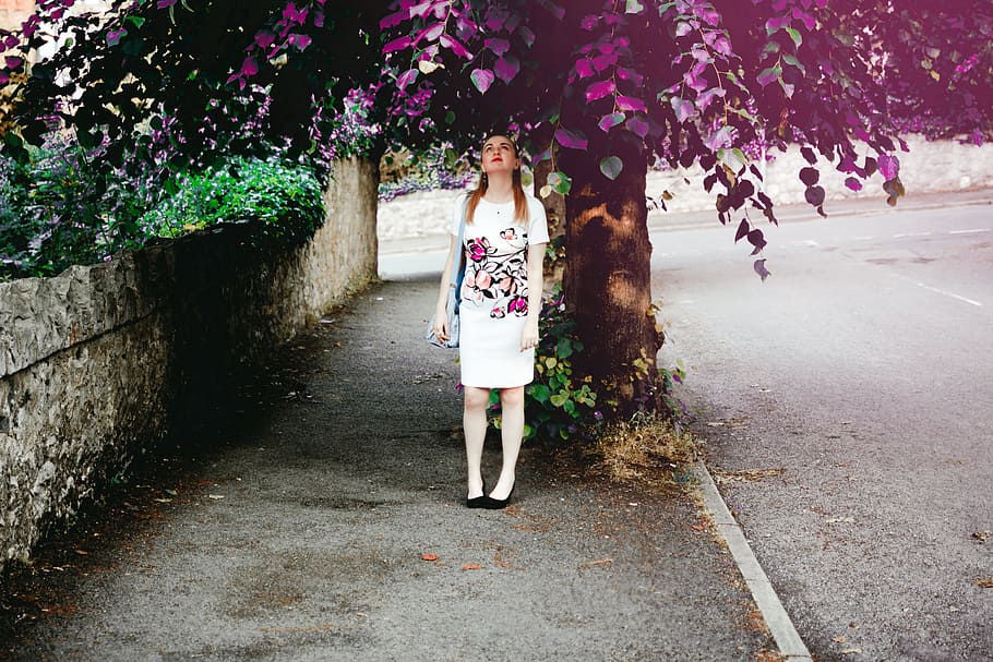 curious, woman, tree, spring, summer, street, road, leaves HD wallpaper