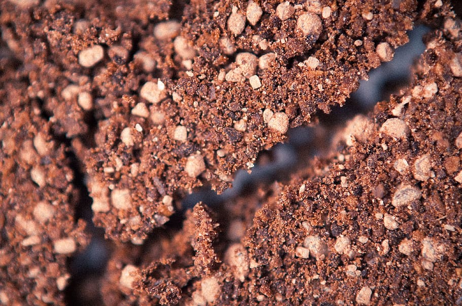 closeup, close-up, selective focus, no people, full frame, backgrounds HD wallpaper