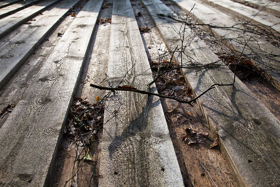 wood, wood - material, high angle view, day, no people, nature HD wallpaper