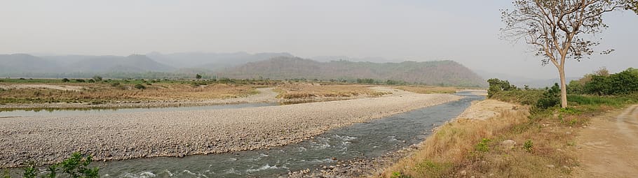 nature, river, landscape, panorama, plant, environment, road HD wallpaper