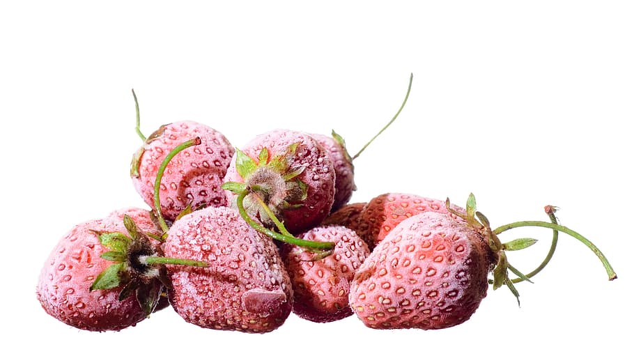 background, berry, closeup, colorful, cooking, delicious, dessert HD wallpaper