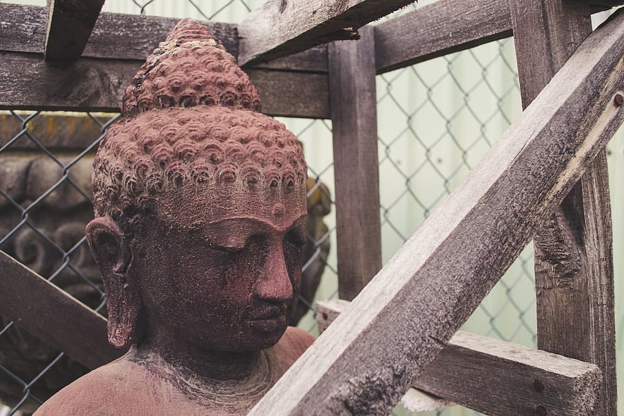 Buddha Statue, sculpture, day, no people, close-up, focus on foreground HD wallpaper