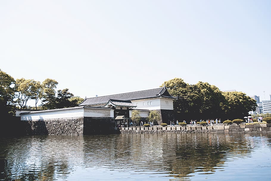 japan, shibuya-ku, royal palace, lake, water, pond, tokyo, travel, HD wallpaper