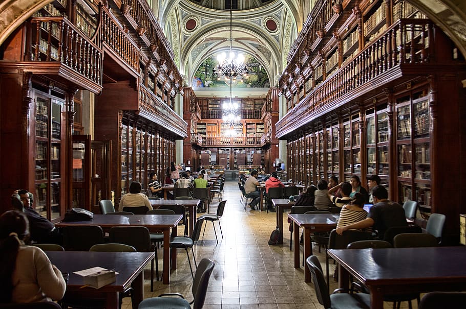 People at Library Sitting Down at Tables, architecture, bookcase