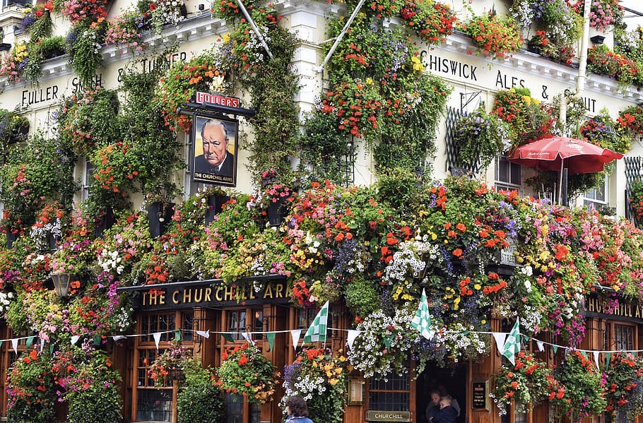 assorted flowers on building, plant, person, human, outdoors, HD wallpaper