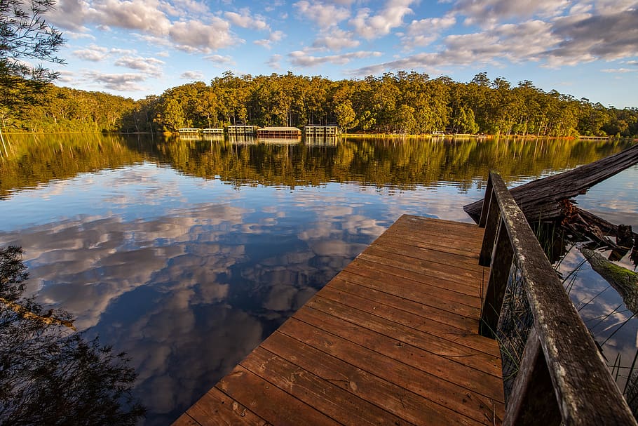 lake, trees, water, wood - material, reflection, tranquility HD wallpaper