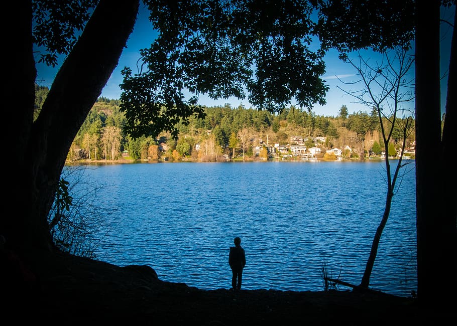 sky, blue, outdoors, calm, rest, tree, water, plant, one person HD wallpaper