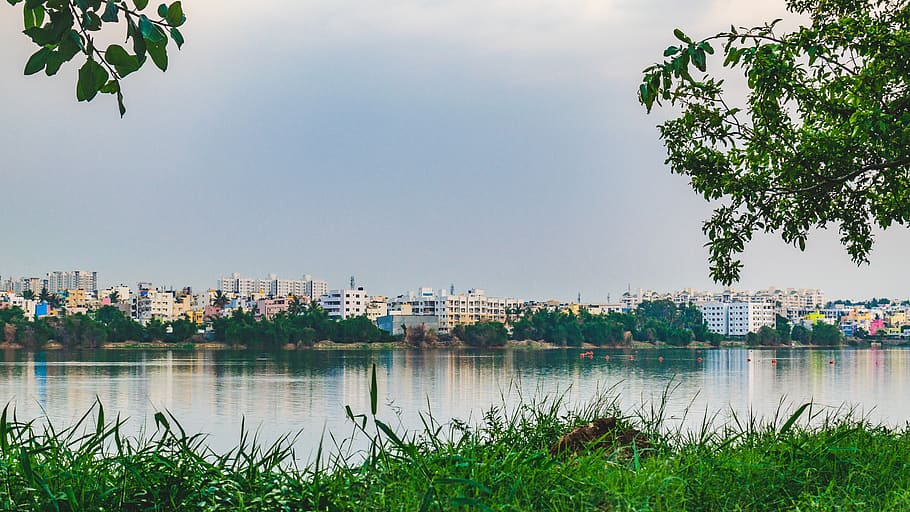 india, bengaluru, evening, sunset, reflection, water, sky, lake HD wallpaper