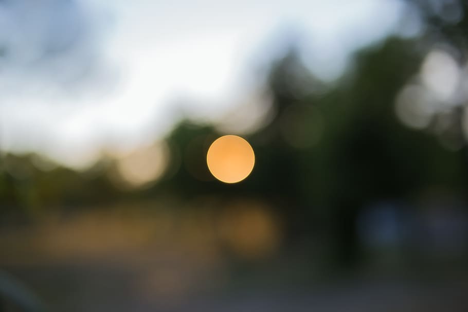 sunset, blur, bokeh, evening, park, trees, dusk, sky, no people HD wallpaper
