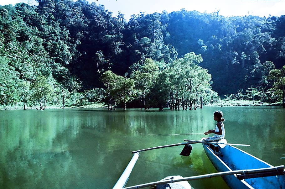sibulan, trees, forest, nature, landscape, lake, film, philippines HD wallpaper