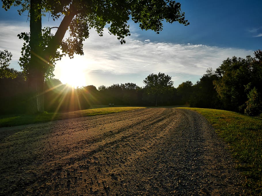 drive, explore, sky, clouds, nature, tree, path, road, sunrise HD wallpaper