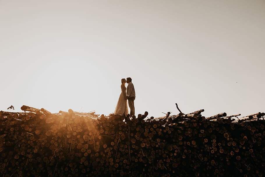 couple kissing while standing on tree logs, sky, clear sky, nature HD wallpaper